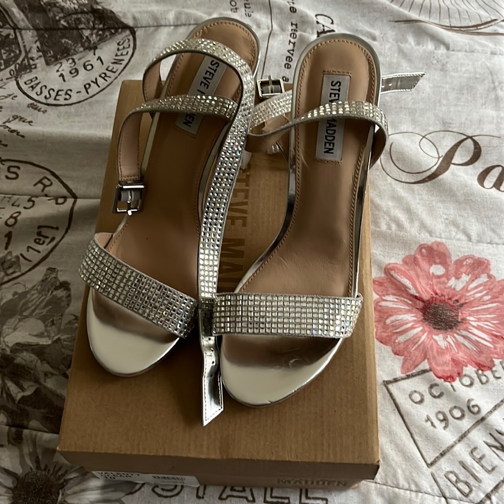Steve Madden Valenty Clear Block Heel